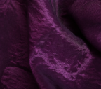 AYLN0034