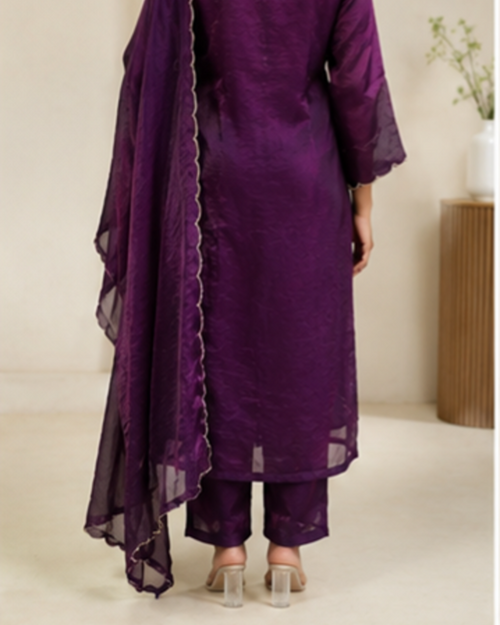 Burgundy Velvet Organza Suit Set,3 Piece Set