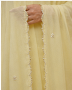 Baby yellow Yoke heavy hand work 3 Piece set AYLN006