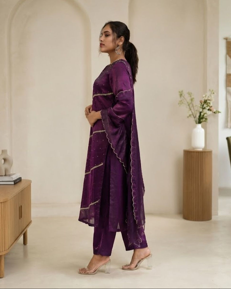 Burgundy Velvet Organza Suit Set,3 Piece Set AYLIN0035